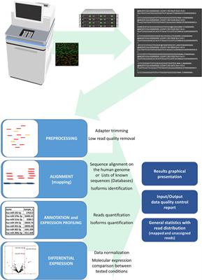 Technological Approaches in the Analysis of Extracellular Vesicle Nucleotide Sequences